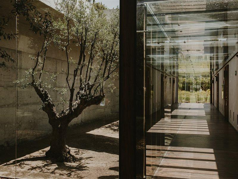 Areias Do Seixo Charm Hotel & Residences ア・ドス・クニャードス エクステリア 写真